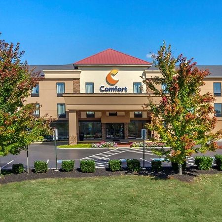 Comfort Suites Knoxville West - Farragut Exterior foto